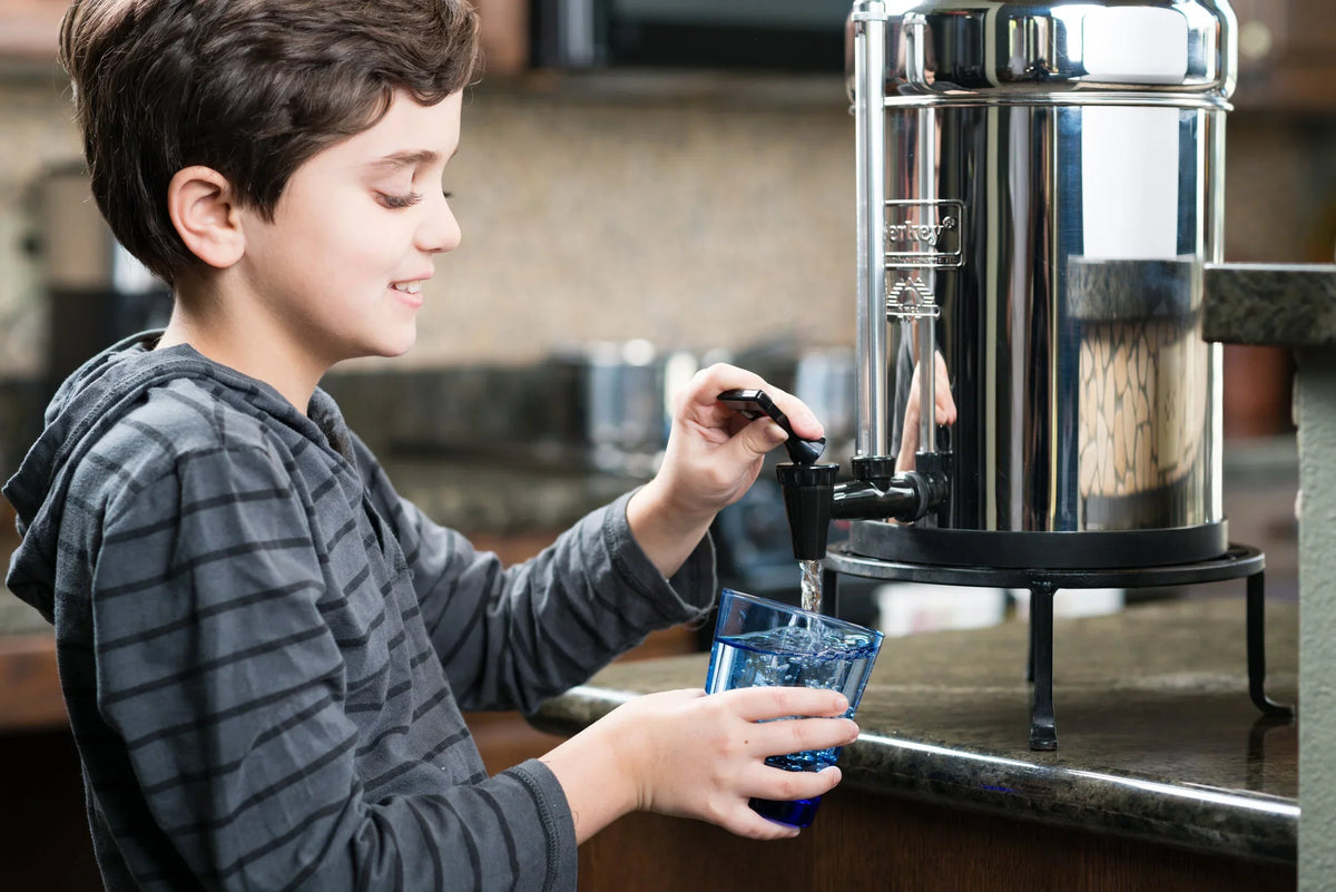 Why Invest in a Berkey