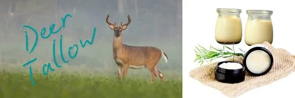 Using all the parts, waste not Deer Tallow