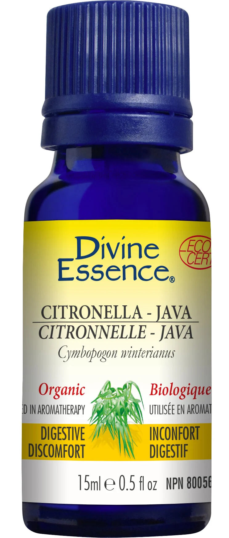 Citronella