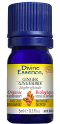 Ginger