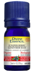 Juniper Berry