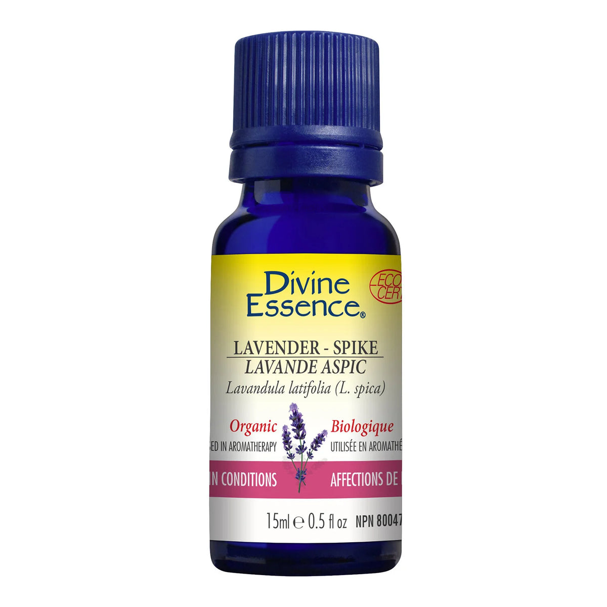 Lavender Spike