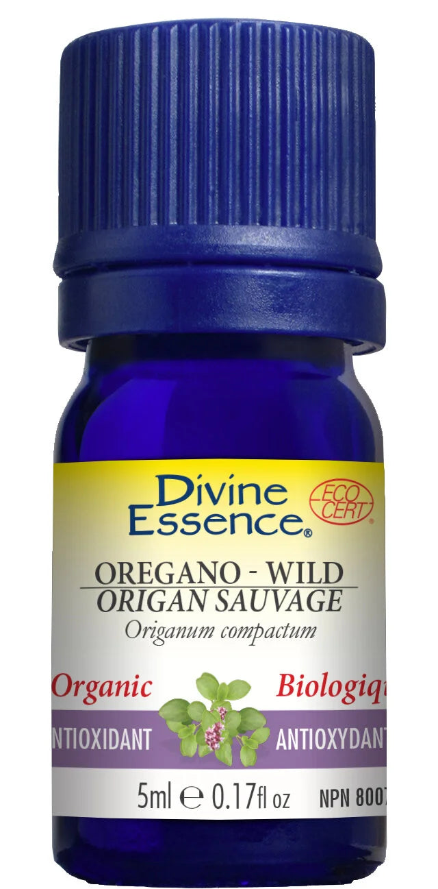 Oregano Wild