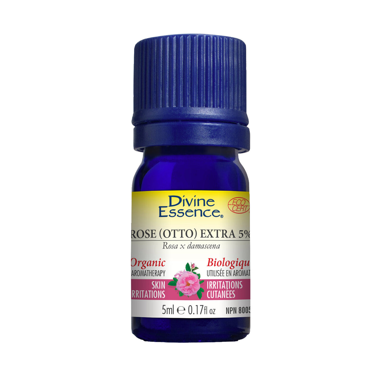 Rose Otto 5