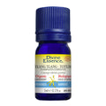 Ylang Ylang