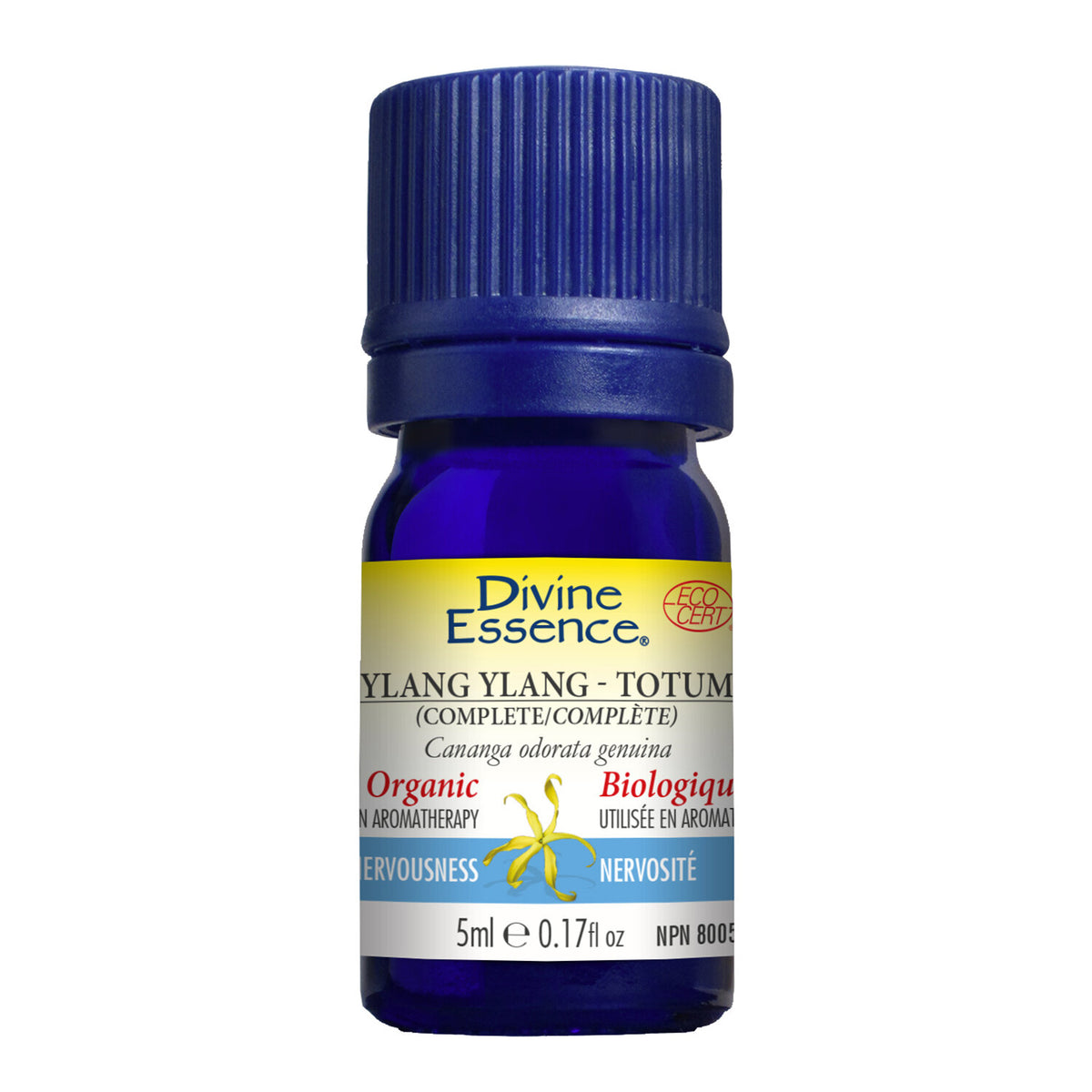 Ylang Ylang